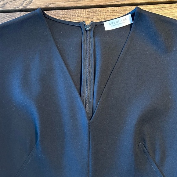 Everlane V-Neck Flare Dress - Picture 5 of 6